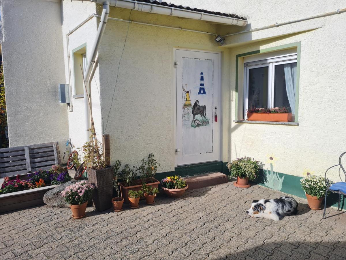 Ferienwohnung Im Wispertaunus Dickschied Екстериор снимка
